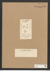 Schizonema ramosissimum var. div. Ag. (de-Toni-Nr.: Genus 20, Species 1187) Zeichnungen Sammlung Grunow Nr. 2292 (NHMW-BOT-W0369413)